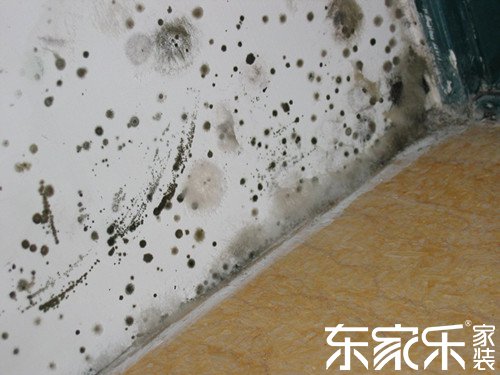 墻面為什么發(fā)霉？